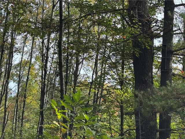 Granton Land Real Estate