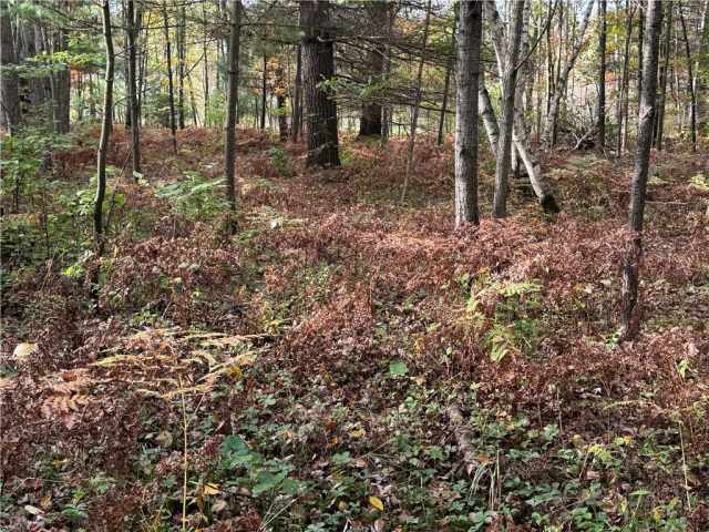 Granton Land Real Estate