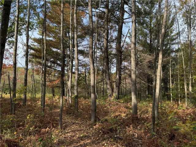 Granton Land Real Estate