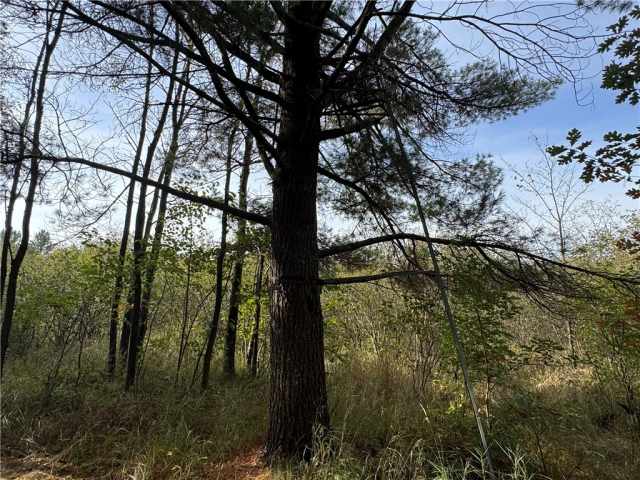 Granton Land Real Estate