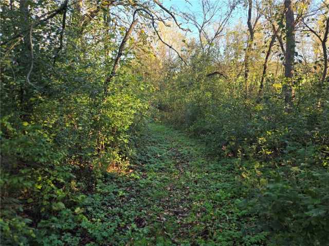 Mondovi Land Real Estate