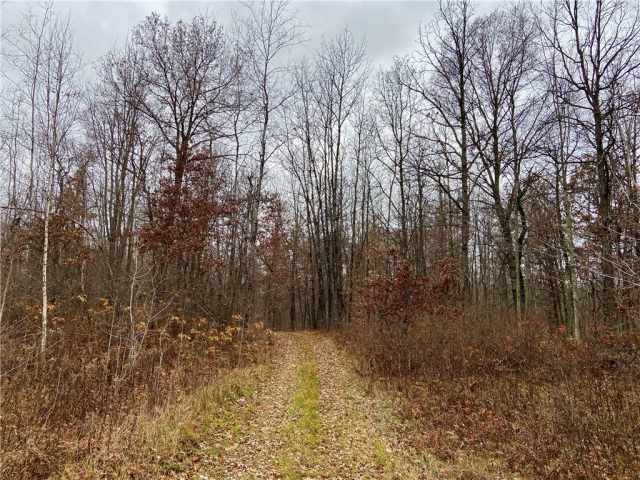 Trego Land Real Estate