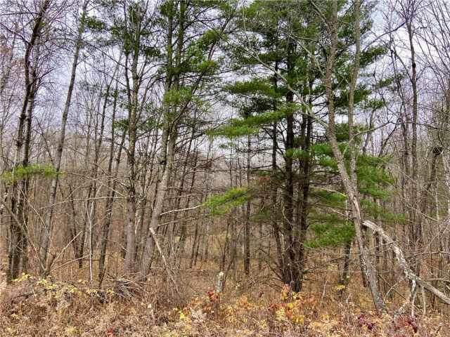 Trego Land Real Estate