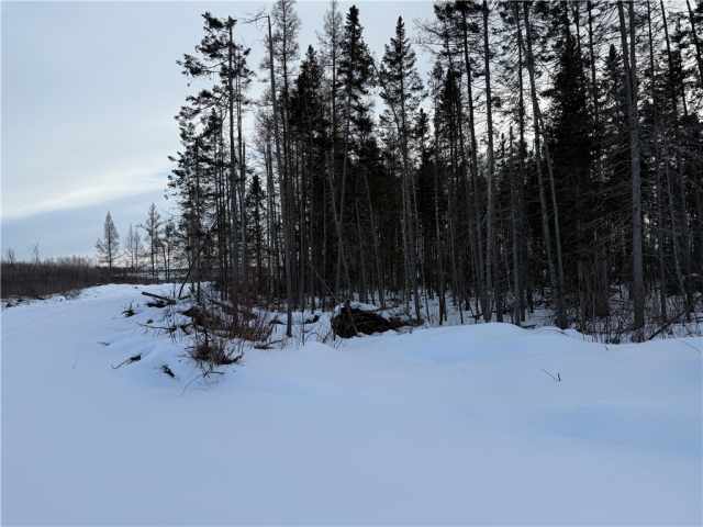 Ladysmith Land Real Estate