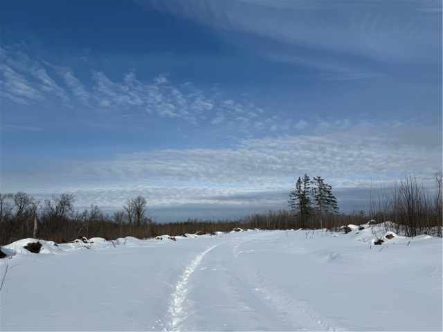 Ladysmith Land Real Estate