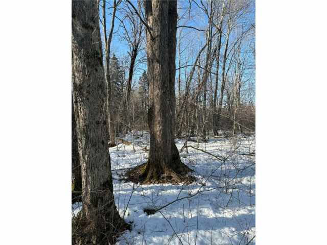 Ladysmith Land Real Estate