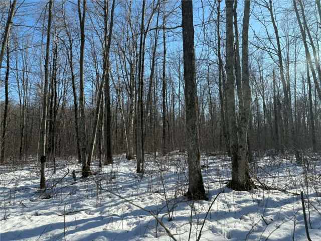 Ladysmith Land Real Estate