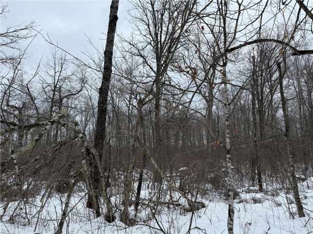 Ladysmith Land Real Estate