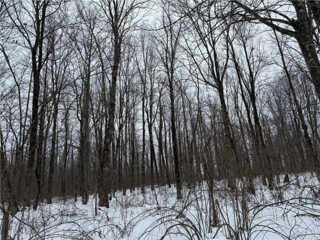 Ladysmith Land Real Estate