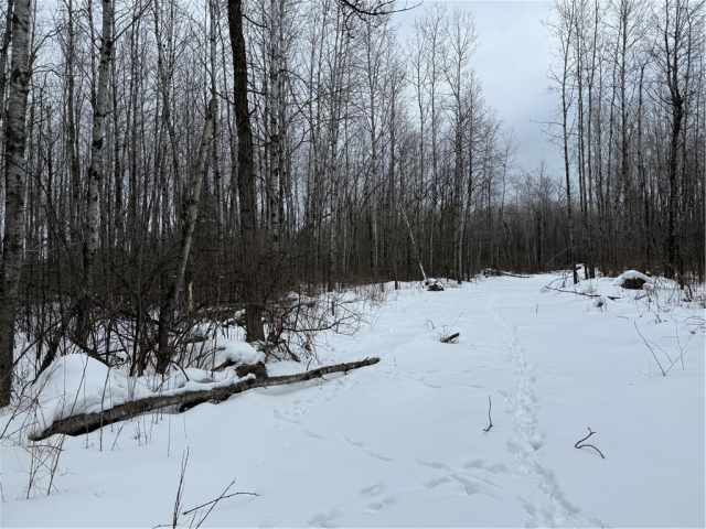 Ladysmith Land Real Estate