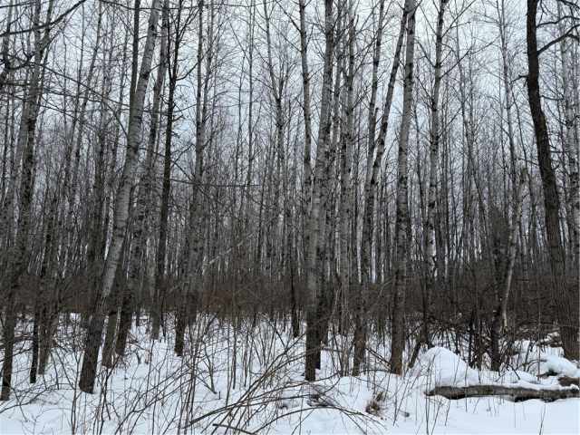 Ladysmith Land Real Estate