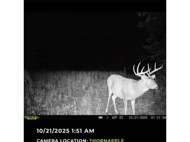 Ladysmith Land Real Estate