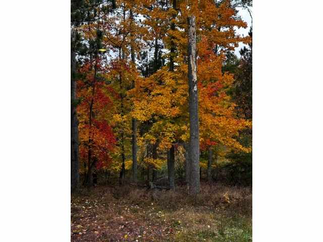 Danbury Residential Real Estate