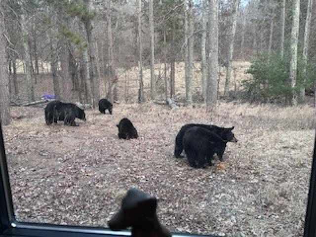 Danbury Residential Real Estate