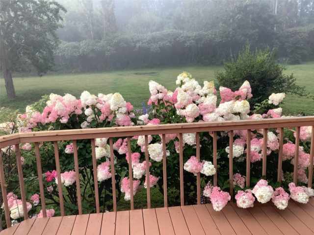 Eau Claire Residential Real Estate