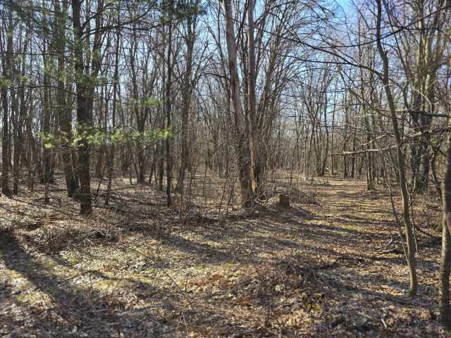 Eau Claire Land Real Estate