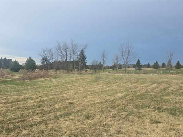 Rice Lake Land Real Estate