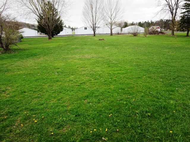 Boyceville Residential Real Estate