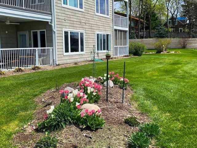 Pepin Residential Real Estate