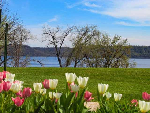 Pepin Residential Real Estate