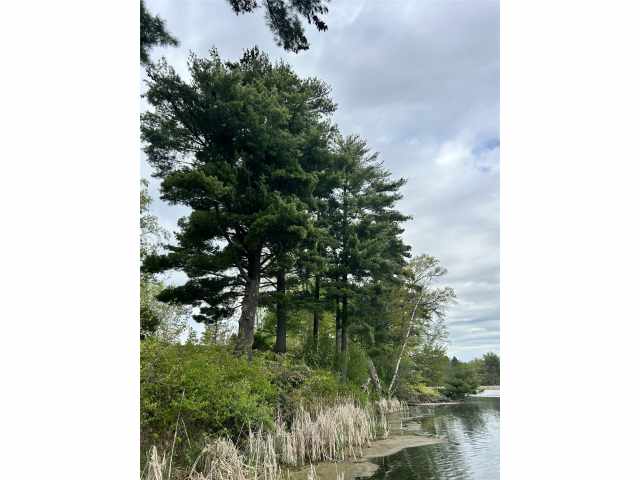 Rice Lake Land Real Estate