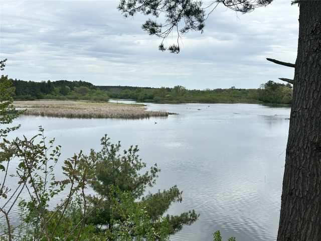 Rice Lake Land Real Estate