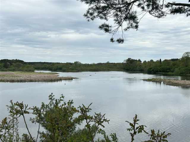 Rice Lake Land Real Estate