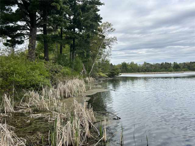 Rice Lake Land Real Estate