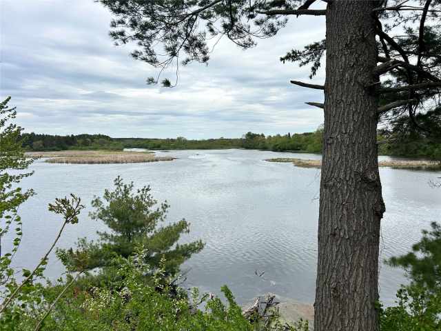 Rice Lake Land Real Estate