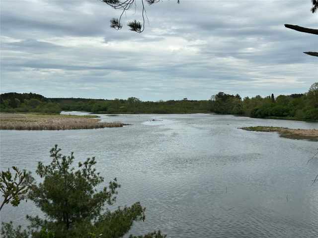 Rice Lake Land Real Estate