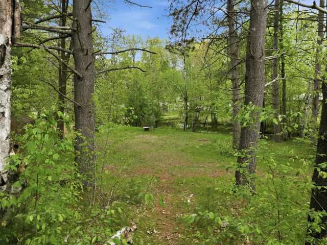 Holcombe Residential Real Estate