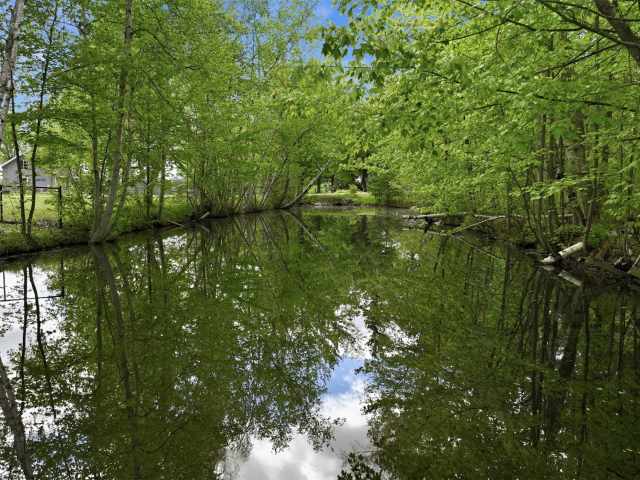 Holcombe Residential Real Estate