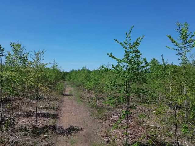 Spooner Land Real Estate