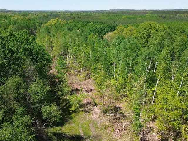 Spooner Land Real Estate