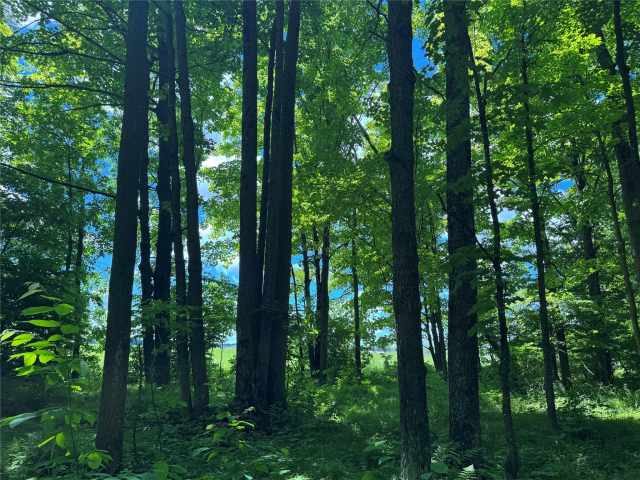 Wausau Land Real Estate