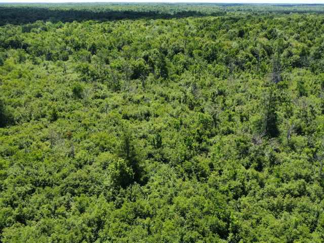 Wausau Land Real Estate