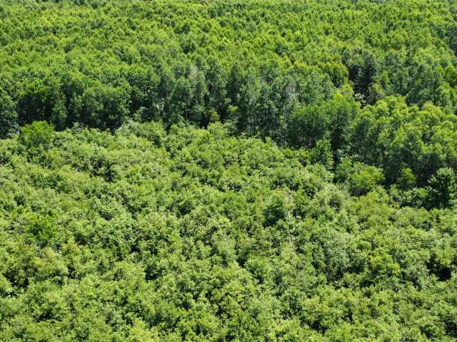 Wausau Land Real Estate