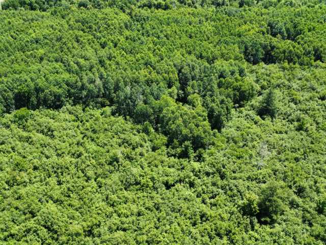 Wausau Land Real Estate