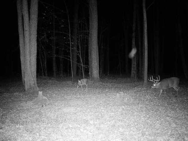 Wausau Land Real Estate