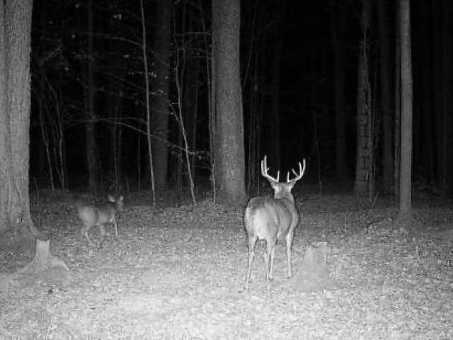 Wausau Land Real Estate