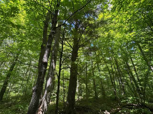 Wausau Land Real Estate