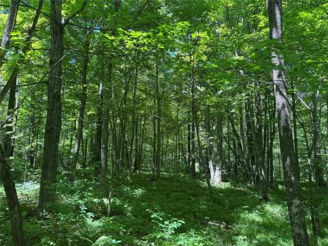 Wausau Land Real Estate