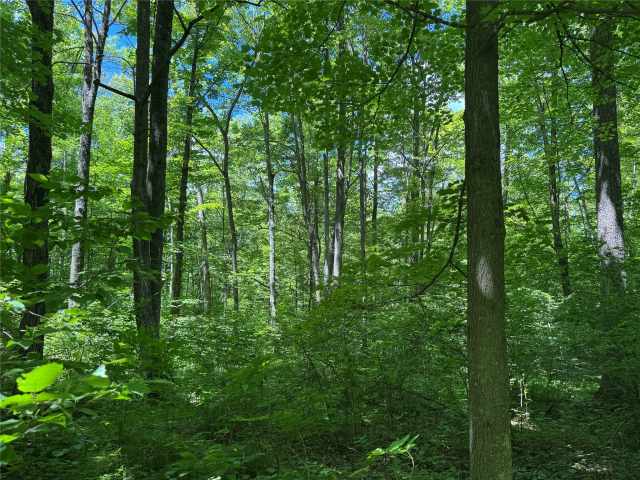 Wausau Land Real Estate
