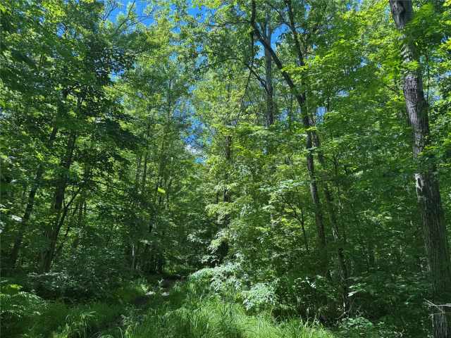 Wausau Land Real Estate
