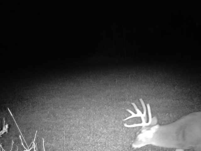 Wausau Land Real Estate