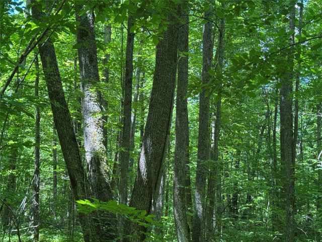 Wausau Land Real Estate