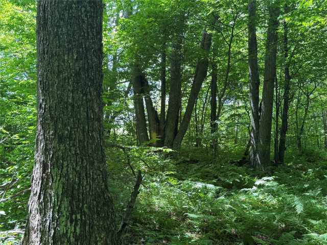 Wausau Land Real Estate