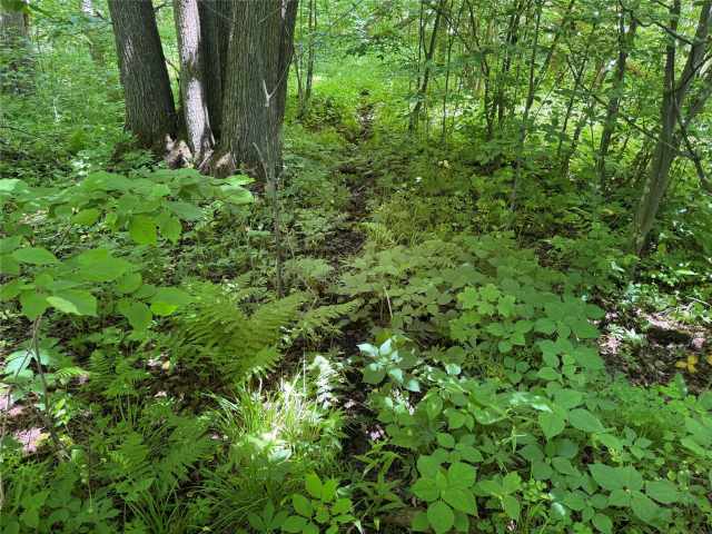 Wausau Land Real Estate