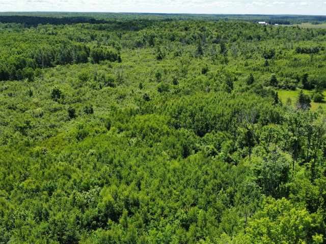 Wausau Land Real Estate