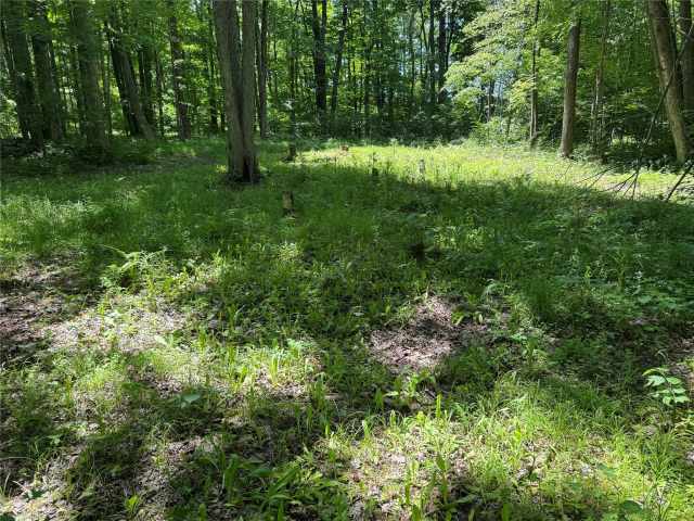 Wausau Land Real Estate